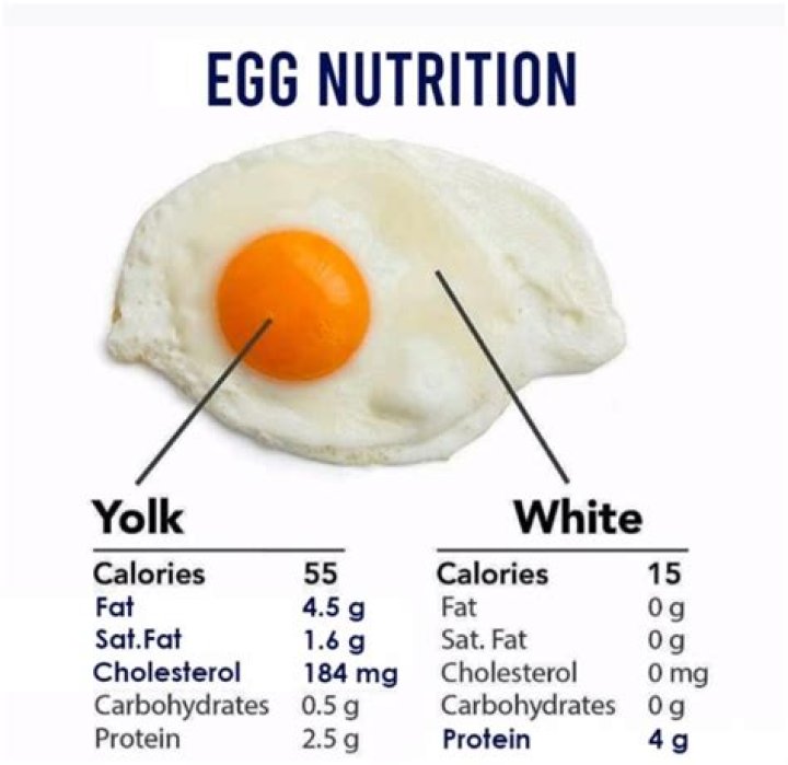 Does egg contain water?