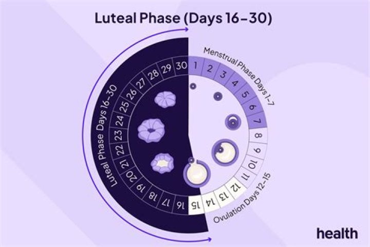 Does the luteal phase make you tired?