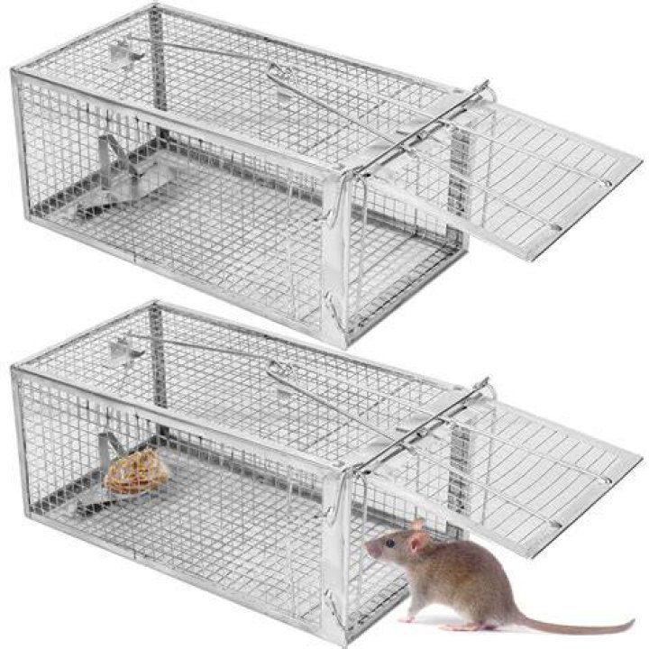 How big are live traps?