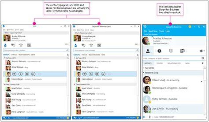 How do I see video participants in Skype for business?