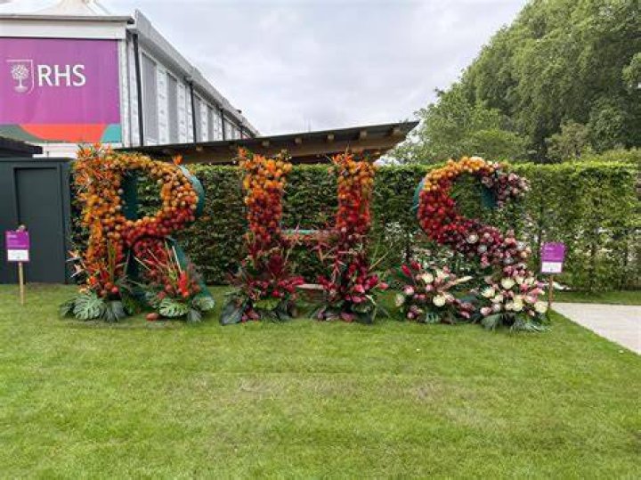 How many RHS flower shows are there?