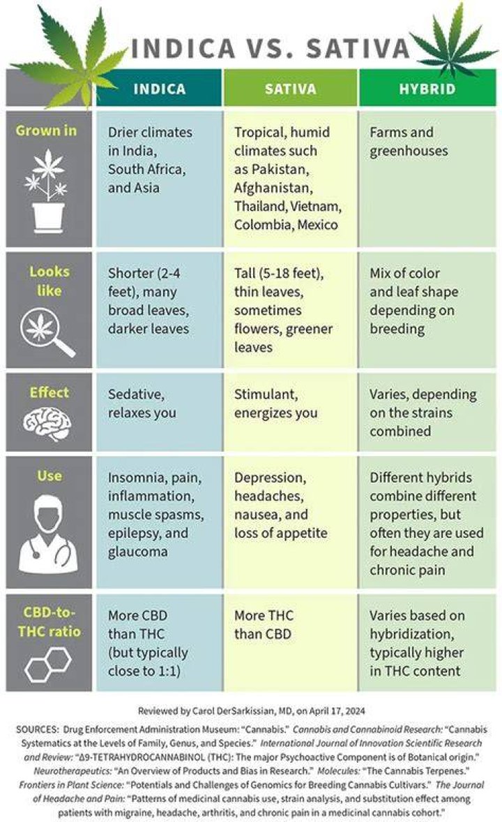 Is a sativa an upper?