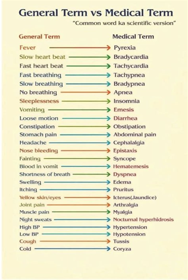 What is SPL in medical terms?