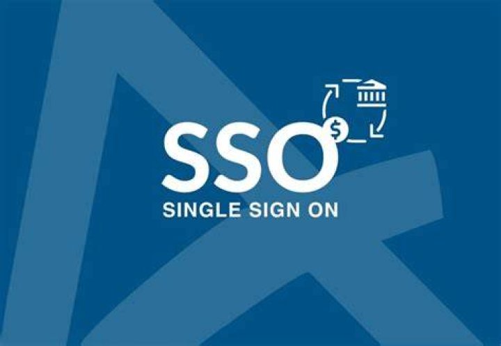 What is SSO in finance?