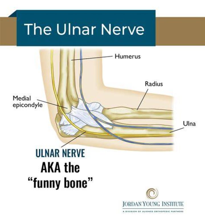 What is the name for the funny bone?