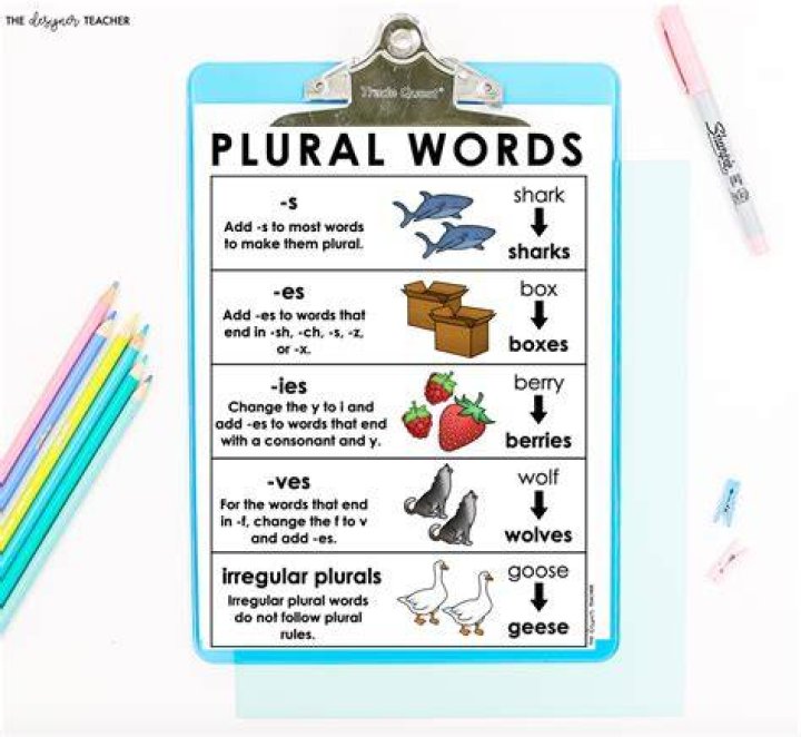 What is the plural of flea?