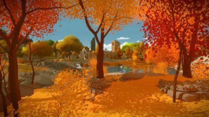 What order do the witness puzzles go in?
