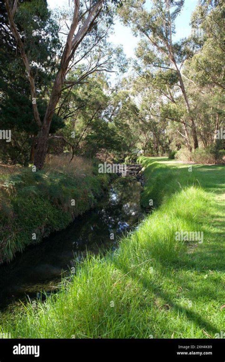 What river runs through Ringwood?
