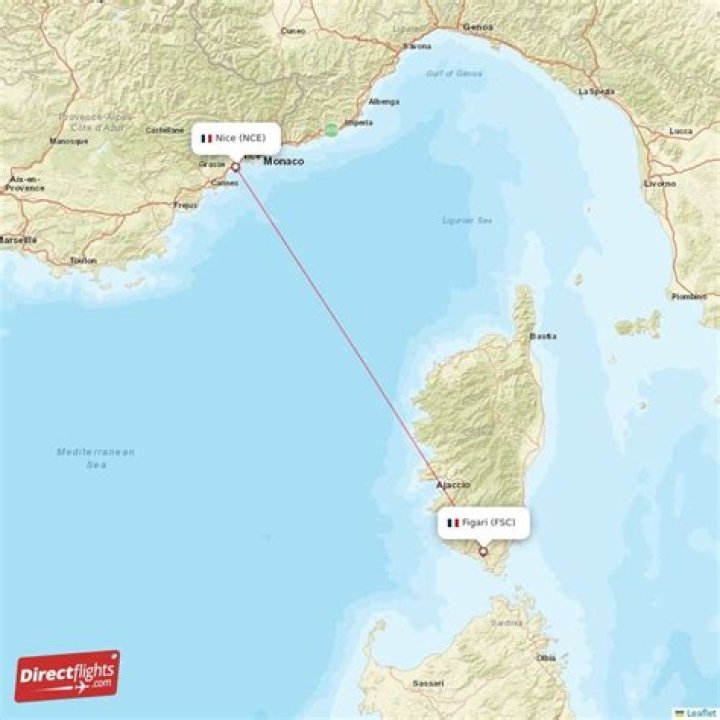 Where does Nice fly direct to?